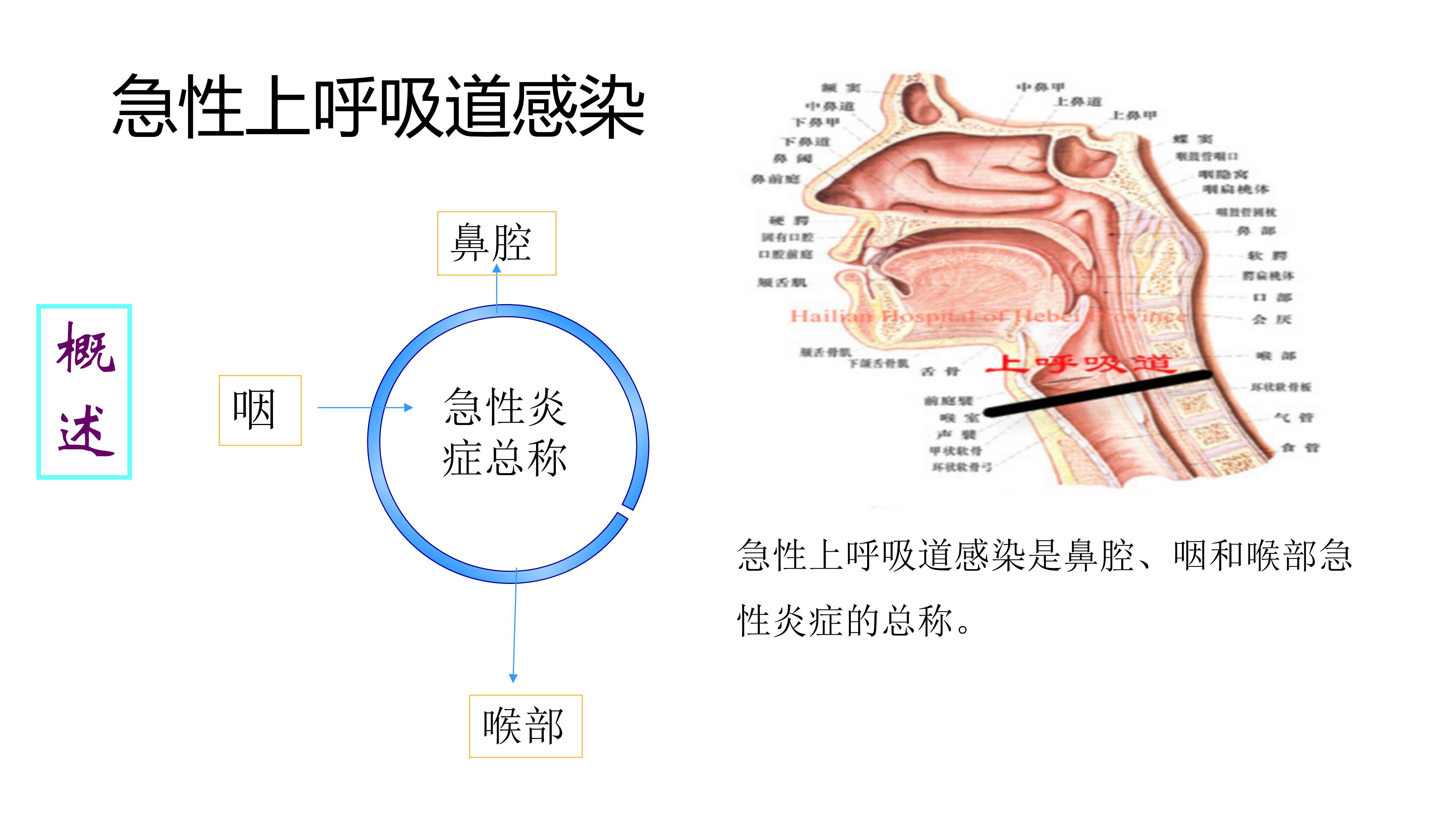 急性上呼吸道感染健康教育_05.jpg